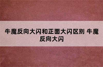 牛魔反向大闪和正面大闪区别 牛魔反向大闪